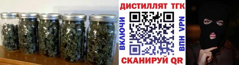 закладки  Райчихинск  ТГК концентрат 