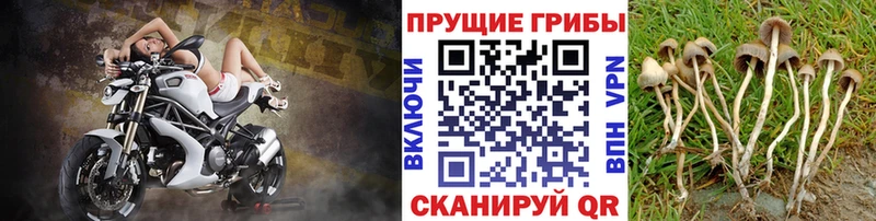 Галлюциногенные грибы мицелий  Райчихинск 